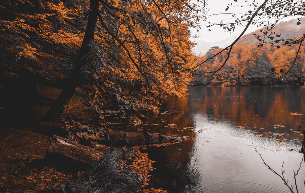 River Land